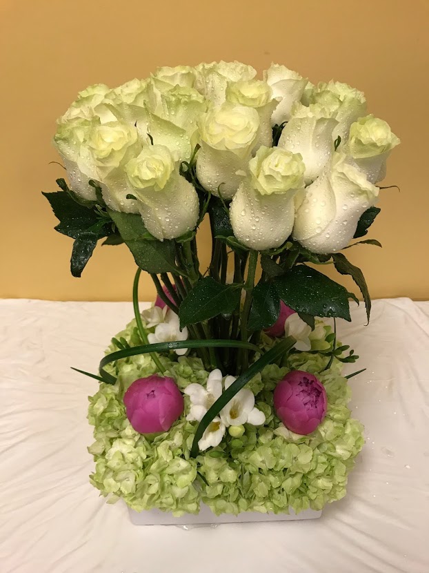 White Collection